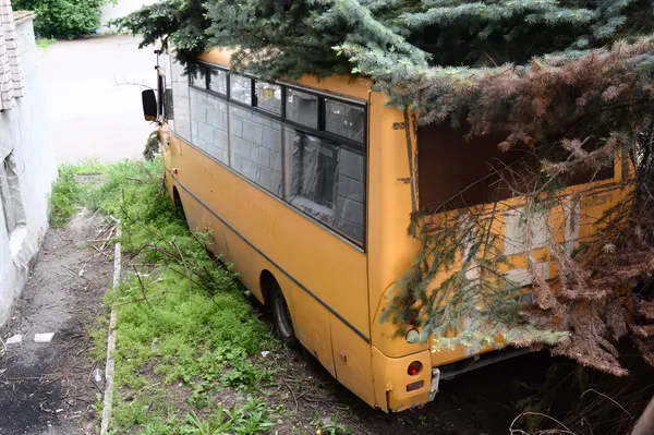 Луцький «сепар» на Сході та Життя українських військових на передовій (фоторепортаж)