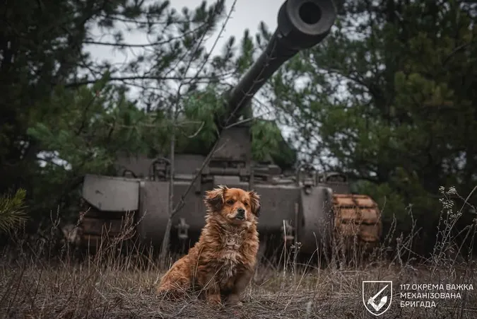 Фото ілюстративне
