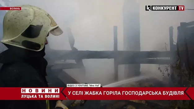 Неподалік Луцька пожежу гасили 15 рятувальників (фото, відео)