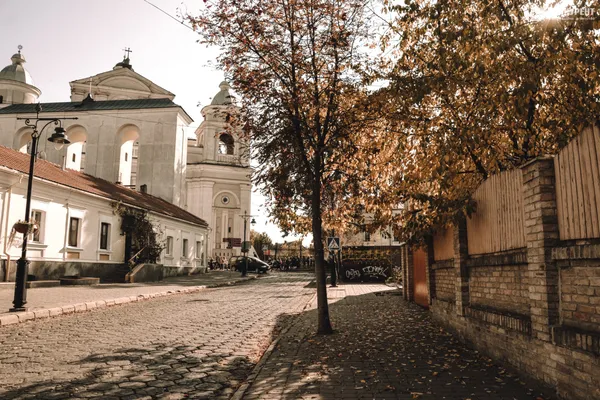 Бабине літо і квіти: осінь-2019 в Луцьку (фото)