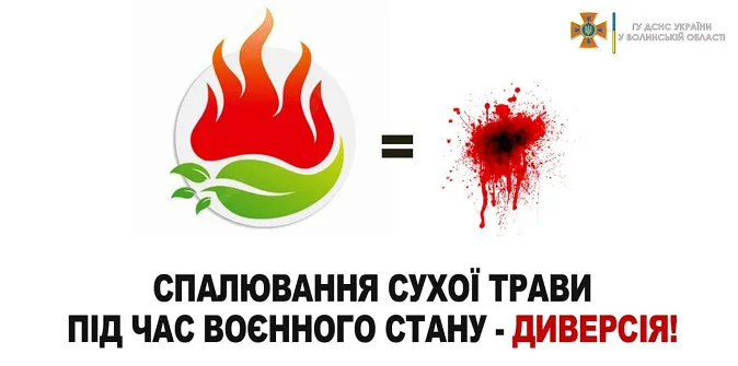 На Волині рятувальники встановили трьох осіб, які відповідатимуть за пожежі в екосистемах
