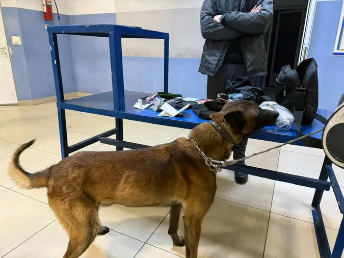 На Волині пухнасті прикордонники «винюхали» наркотики в речах француза та українки (фото)