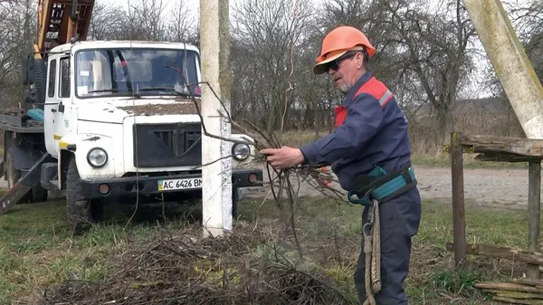 На Волині облаштовують штучні лелечі гнізда на електроопорах (фото, відео)