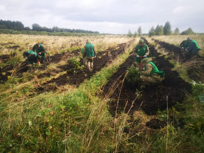Волинські прикордонники висадили понад сім тисяч молодих дерев (фото)