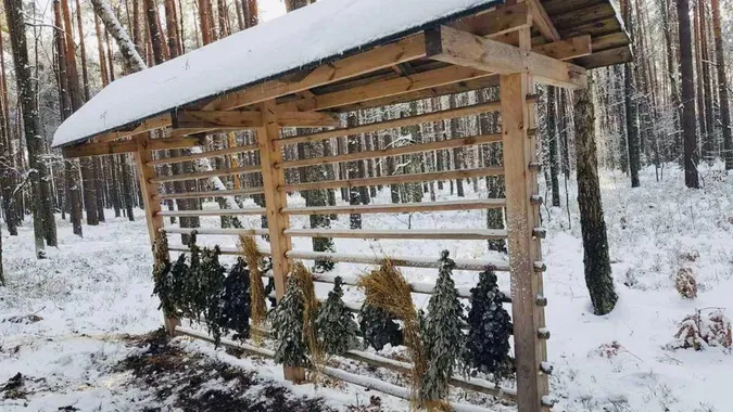 На Волині облаштували пів тисячі підгодівельних комплексів для тварин (фото)