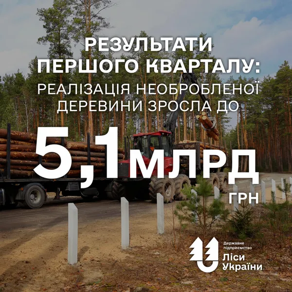 ДП «Ліси України» продали у I кварталі необробленої деревини на понад 5 млрд