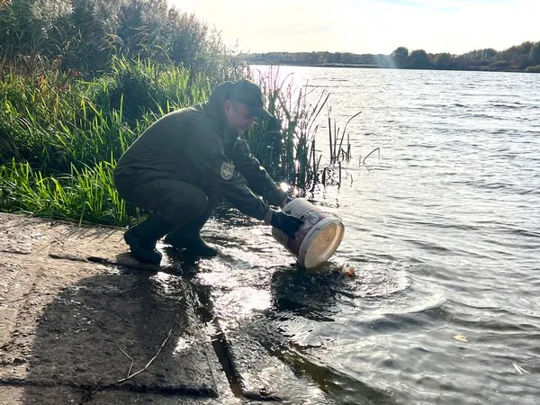 У Ковелі водосховище «заселили» рибами-прибиральниками (фото)