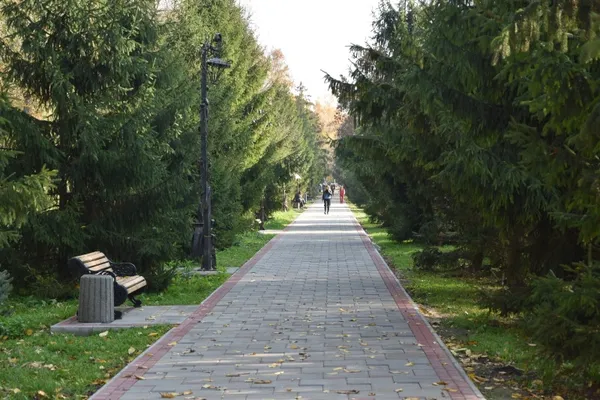 Як змінився центральний парк Луцька (фото)
