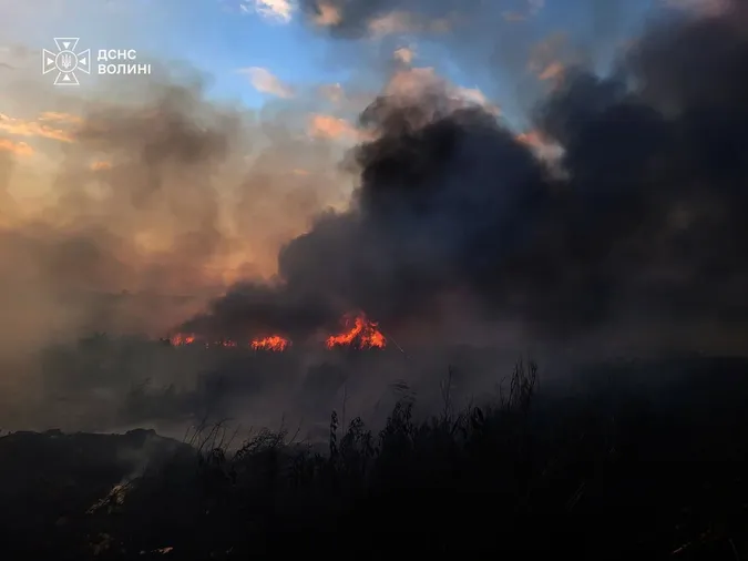 Три пожежі в одному районі: на Волині горіло 2 га чагарників (фото)