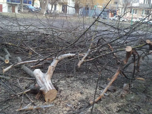 У Луцькраді розповіли, коли розчистять двори від гілля