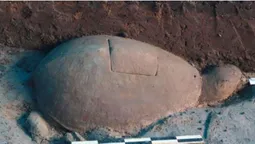 Археологи знайшли 1000-літню кам'яну черепаху в храмовому комплексі Ангкор (фото)