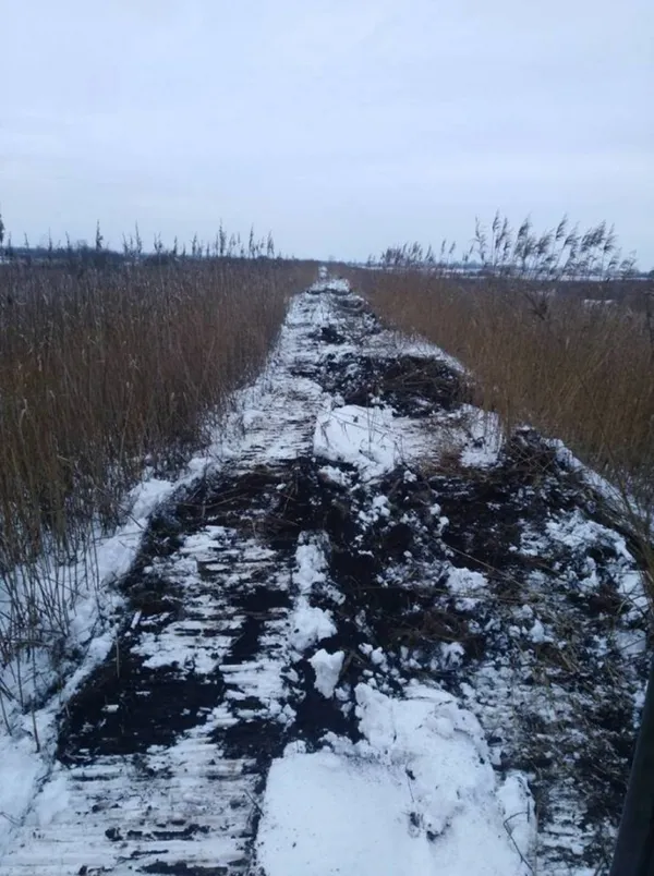 На Волині поремонтували дамбу, яку понищили бобри