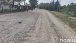 На Волині побільшало аварій за участю дітей