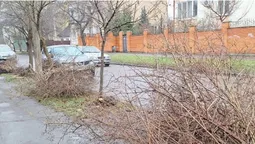 Комунальники «забули» купи гілля у центрі Луцька (фото)