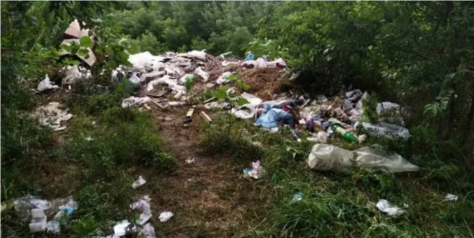 На Волині селищна рада заплатить майже пів мільйона гривень за стихійні сміттєзввалища