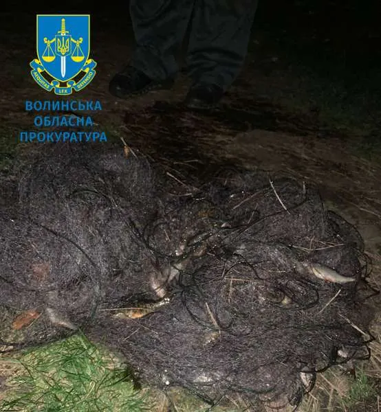 На Волині браконьєр заплатить майже мільйон гривень за впійману рибу (фото)