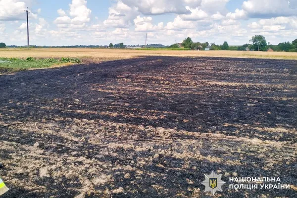 На Рівненщині під час спалювання стерні загинула 90-річна жінка (фото)