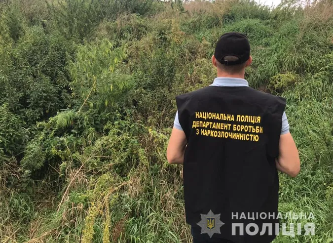 У Підгайцях полісмени впіймали дітей з канабісом та пістолетом (фото)