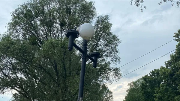 Зірвана покрівля та повалені дерева: у Володимирі бушує негода (фото, відео)