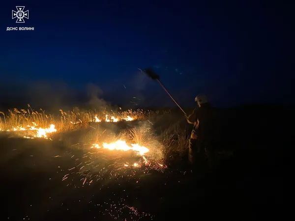 Горіли поля, очерет і торф: Волинь накрила хвиля масштабних пожеж (фото)
