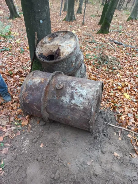 «Голодний» скарб: у галицькому лісі знайшли дві бочки по вінця набиті «їстівним золотом» (фото)