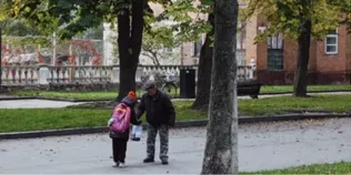 У Нововолинську містяни збирають каштани, які можна здати на переробку (фото)