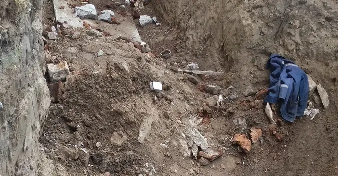 У Луцьку сім'ю котиків можуть заживо засипати землею