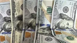 На Волині ухилянт з Вінниці хотів потрапити за кордон за 500 доларів (фото)