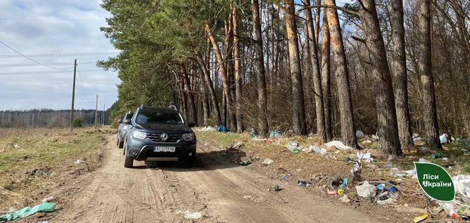 На Волині борються із забрудненням лісів: як саме