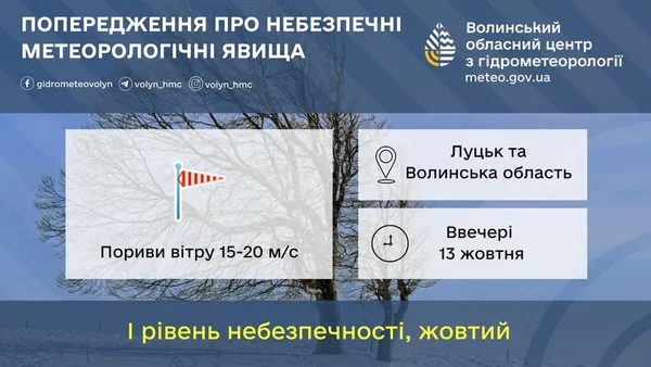 Пориви вітру – 20 м/с: на Волині оголосили «жовтий» рівень небезпечності