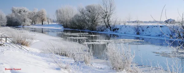 Луцький фотограф показав красу морозного та засніженого міста (фото)