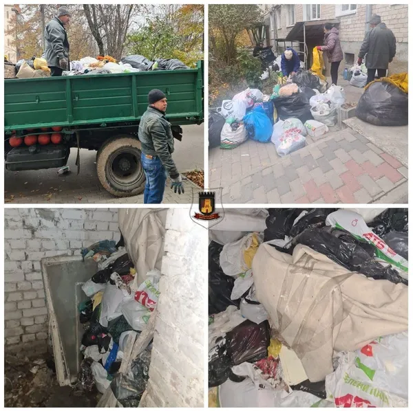 Лучанка збирала мотлох та несла в підвал: з будинку вивезли цілу вантажівку сміття (фото)