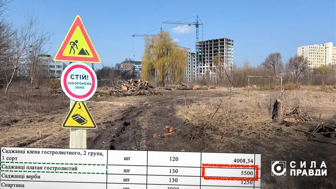 Луцький парк за 30 мільйонів: у кошторисі знайшли ймовірні зловживання