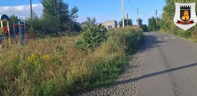 Зелені – по пояс: у Луцьку дитячий майданчик заріс травою (фото)
