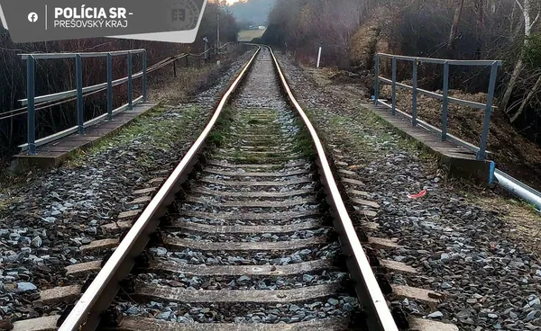 Волинська фура зупинила рух потягів у Словаччині (фото)