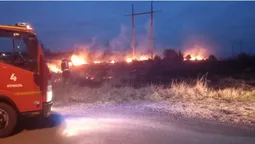 Аномальна зима: на Волині – пожежі в екосистемах (фото)