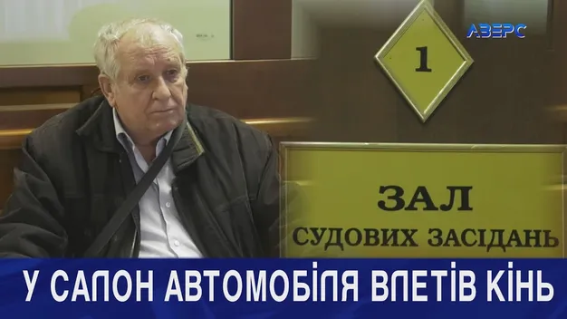 Загинули троє людей і кінь: на Волині пенсіонер 16 років судиться за смерть сина (відео)