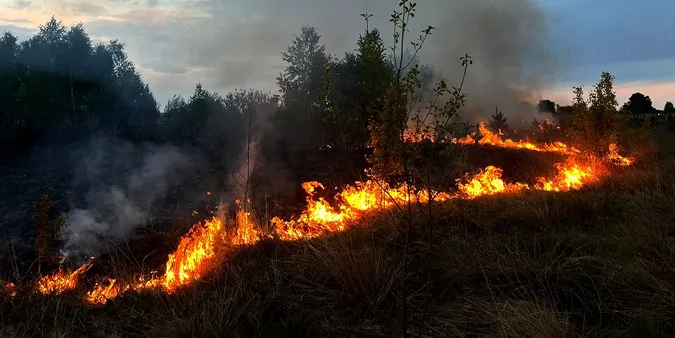 Необережні волиняни спричинили дві пожежі в екосистемах (фото)
