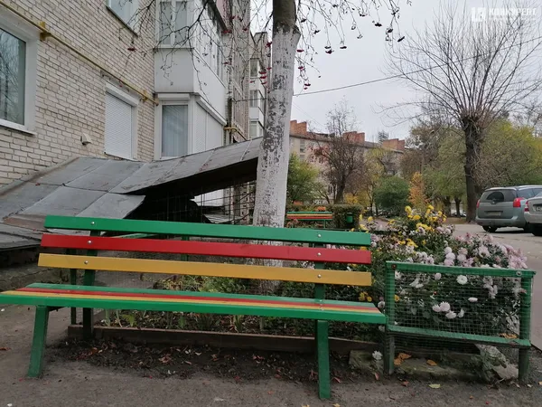 Осінь у  Луцьку (фото)