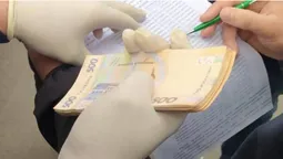 У Луцьку на хабарі затримали працівника лісогосподарського підприємства (фото)