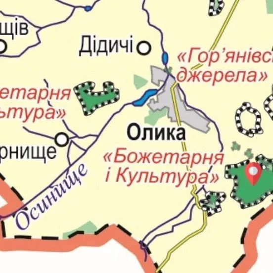 Тут язичники поклонялися богам, а князі розводили фазанів: яку таємницю приховує загадковий ліс на Волині (фото)