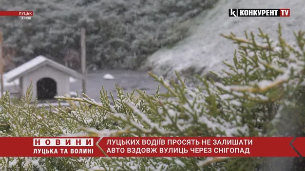 Не залишайте авто вздовж вулиць: у Луцьку працюватиме снігоприбиральна техніка (відео)