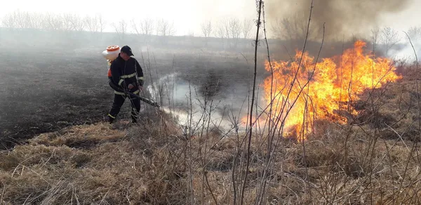 На Волині за минулу добу погасили 20 пожеж (фото)