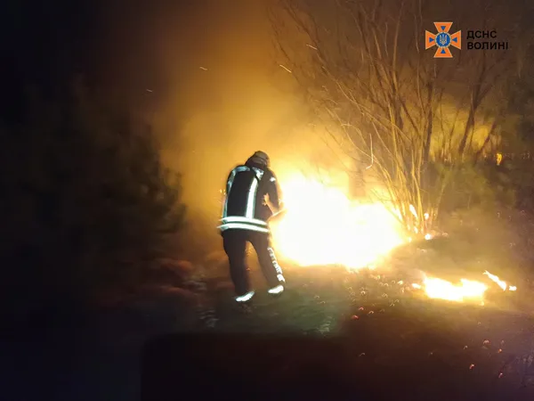 Вогонь знищує гектари: на Волині палають поля та очерет (фото)
