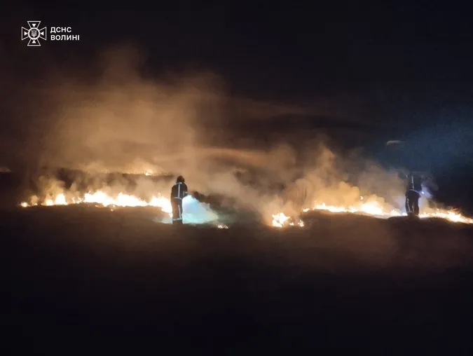 Найтриваліша пожежа на Волині: рятувальники пів доби гасили вогонь на торфовищі (фото)