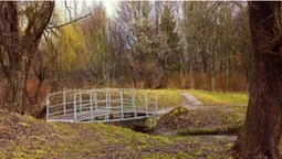 Величезна яма: у Луцьку просять відремонтувати аварійний міст у парку (фото)
