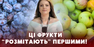 Сезон садовини у розпалі: які ціни на яблука, груші та сливи на луцьких ринках (відео)