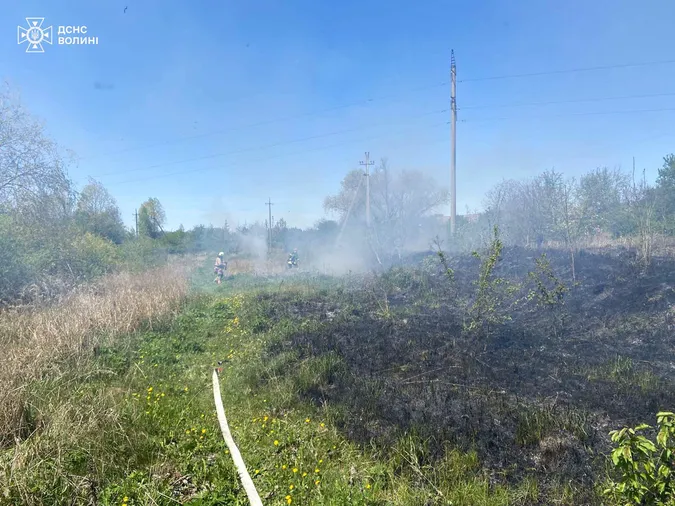 На Волині пожежа із сухостою перекинулася на торфовище (фото)