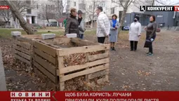 Щоб була користь: лучани придумали, куди подіти опале листя (відео)