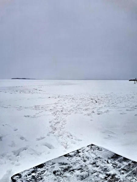 Космічні краєвиди: зима огорнула Світязь у білосніжну ковдру (фото)